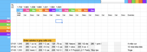 Screenshot of calorie tracker